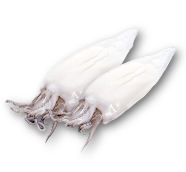 Patagóniai tintahal (valódi kalmár), tisztított, 8-10cm, n° 900g, védő jégréteggel, adalékmentes, fagyasztott (L.gahi)