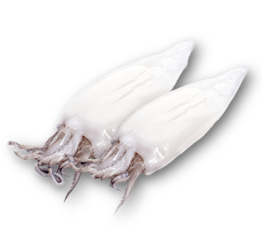 Patagóniai tintahal (valódi kalmár), tisztított, 9-12cm, n° 800g, védő jégréteggel, adalékmentes, fagyasztott (L.gahi)