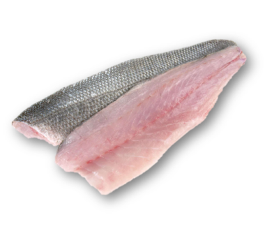 Farkassügér (branzino/tengeri süllő) filé, 120/160 g/db, 5 kg/krt., hozzáadott vízzel, 25% védő jégréteggel, fagyasztott