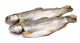Pisztráng, belezett, 250-300g, védő jégréteggel, fagyasztott